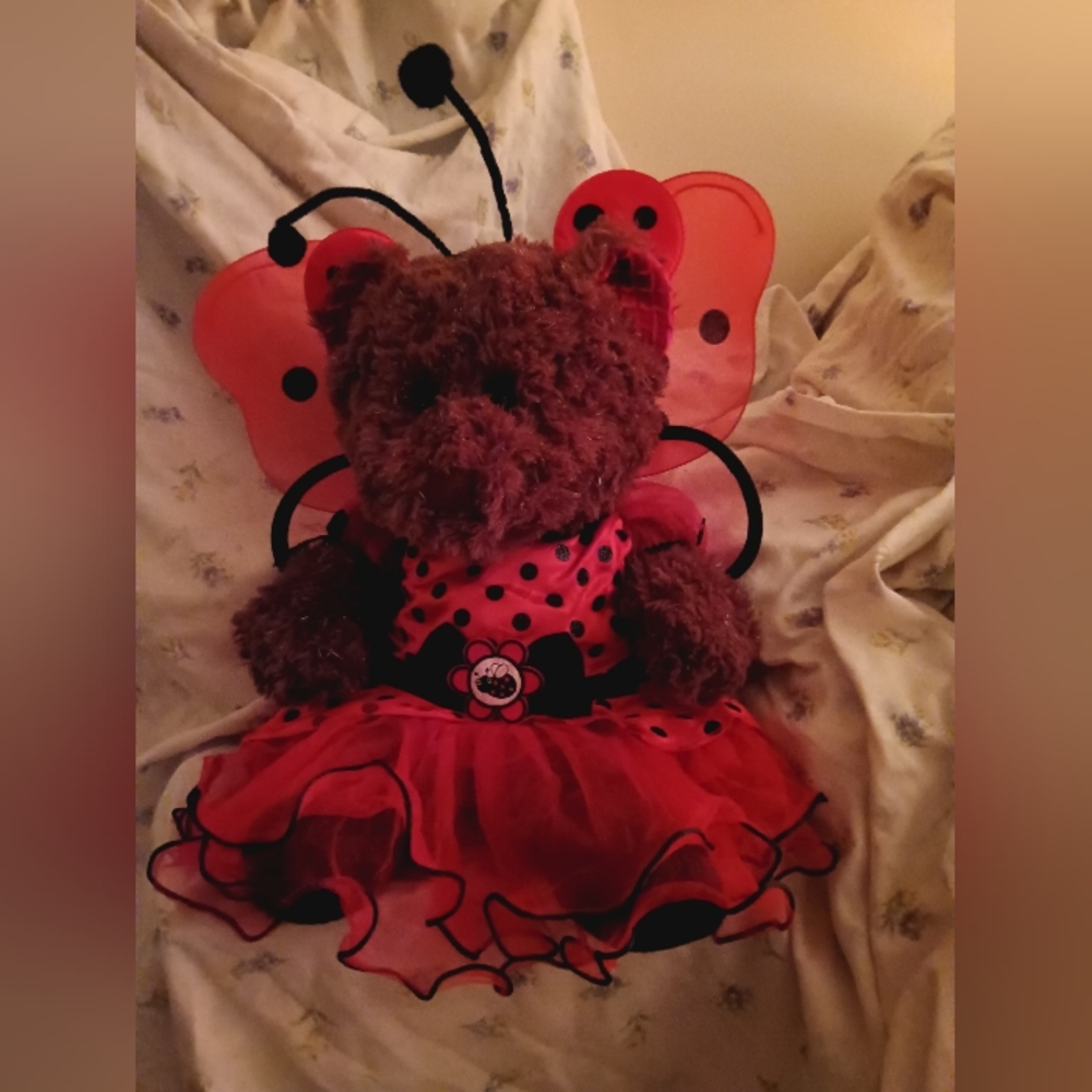 Brown Bear Fancy Ladybug Outfit